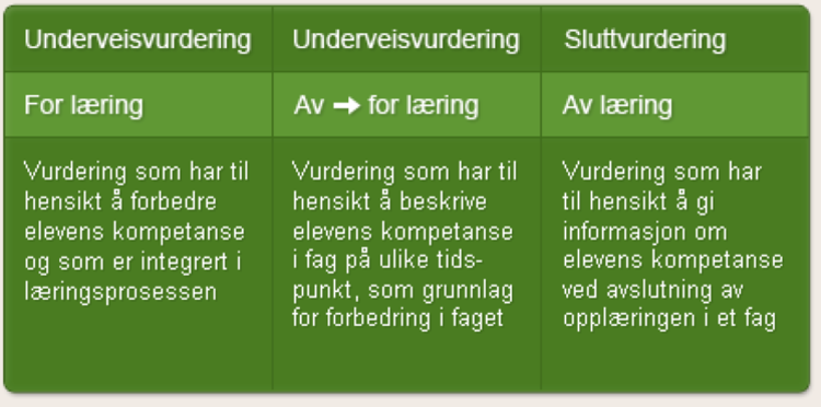 Ulike typer vurdering